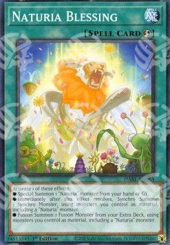 Benedizione Naturia - Darkwing Blast (Common) [DABL-064]