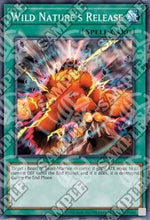 Natura Selvaggia - Invasion of Chaos (25th Anniversary Edition) (Super Rare) [IOC-25TH-033]
