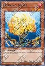 Algae Infuocate - Invasion of Chaos (25th Anniversary Edition) (Common) [IOC-25TH-062]