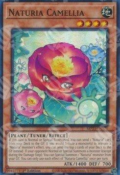 Naturia Camelia - 25th Anniversary Tin: Dueling Heroes Mega Pack (Super Rare) [MP23-171]