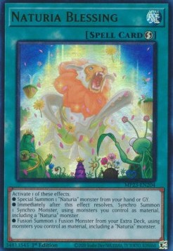 Benedizione Naturia - 25th Anniversary Tin: Dueling Heroes Mega Pack (Ultra Rare) [MP23-204]