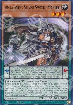 Maestra della Spada d'Argento Amazoness - 25th Anniversary Tin: Dueling Heroes Mega Pack (Common) [MP23-220]