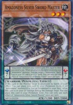 Maestra della Spada d'Argento Amazoness - 25th Anniversary Tin: Dueling Heroes Mega Pack (Common) [MP23-220]