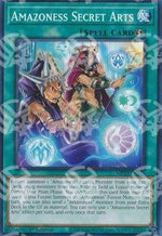 Arti Segrete Amazoness - 25th Anniversary Tin: Dueling Heroes Mega Pack (Common) [MP23-225]