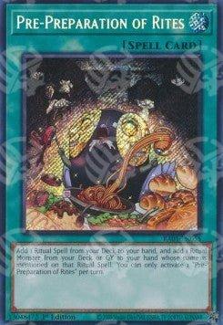 Pre-Preparazione dei Riti - 25th Anniversary Rarity Collection (Secret Rare) [RA01-055]
