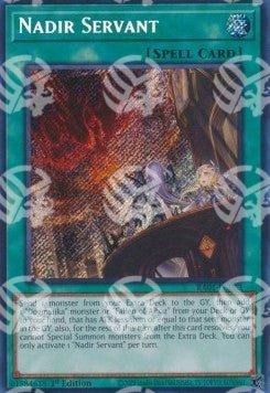 Servitore Nadir - 25th Anniversary Rarity Collection (Secret Rare) [RA01-062]