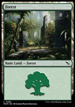 Foresta - Delitti al Maniero Karlov (Land) [MKM-286]