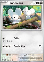 Tandemaus - Destino di Paldea (Common) [PAF-073]