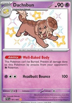Dachsbun - Destino di Paldea (Shiny Rare) [PAF-161]