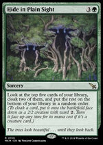 Nascondiglio in Bella Vista - Delitti al Maniero Karlov (Rare) [MKM-166]