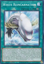 Reincarnazione Bianca - Incubo Fantasma (Common) [PHNI-058]