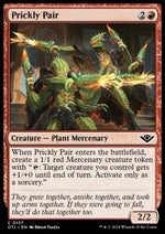 Piante Succuleste - Banditi di Crocevia Tonante (Common) [OTJ-137]