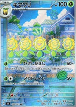 Sunflora