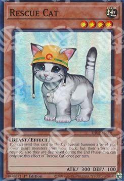 Gatto da Soccorso - Collezione Rarità 25° Anniversario II (Super Rare) [RA02-001]