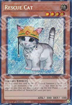 Gatto da Soccorso - Collezione Rarità 25° Anniversario II (Secret Rare) [RA02-001]