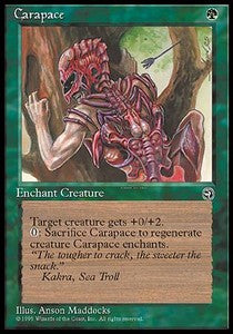 Carapace - Origini (Common)
