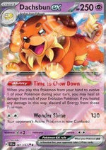 Dachsbun ex - Corona Astrale (Double Rare) [SCR-067]
