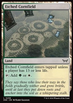 Campo Inciso - Duskmourn: La Casa degli Orrori (Common) [DSK-258]