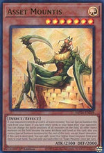 Patrimonio Montide - 25th Anniversary Tin: Dueling Mirrors (Ultra Rare) [MP24-248]