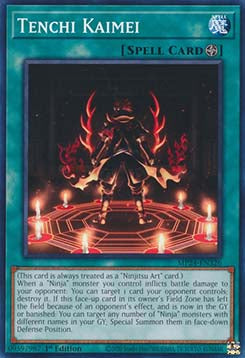 Tenchi Kaimei - 25th Anniversary Tin: Dueling Mirrors (Common) [MP24-326]