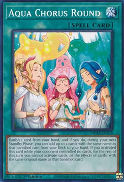 Canone Coro Acquatico - 25th Anniversary Tin: Dueling Mirrors (Common) [MP24-378]