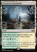 Coltivazioni Infestate da Erbacce - Commander: Tarkir: La Dracotempesta (Rare) [TDC-381]