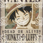 Poster One Piece Monkey D. Luffy - Warcard