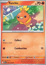 Torchic - Rivali Predestinati (Common) [DRI-040]