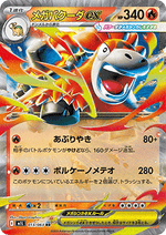 Mega Camerupt ex
