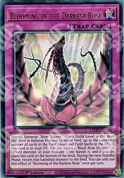 Fioritura della Rosa più Oscura - I Deck 5D's Leggendari (Ultra Rare) [L5DD-A25]