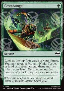 Cowabunga! - Teenage Mutant Ninja Turtles (Common) [TMT-113]