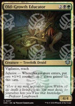 Old-Growth Educator - I Segreti di Strixhaven (Uncommon) [SOS-207]