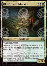 Old-Growth Educator - I Segreti di Strixhaven (Uncommon) [SOS-207]