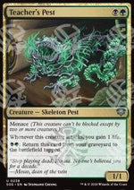 Teacher's Pest - I Segreti di Strixhaven (Uncommon) [SOS-238]