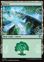 Foresta - I Segreti di Strixhaven (Land) [SOS-281]