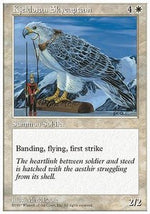 Capitano dei Cieli di Kjeldor - Quinta Edizione (Uncommon)