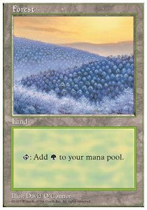 Foresta - Quinta Edizione (Land)