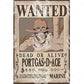 Poster One Piece Luffy e Ace - Warcard
