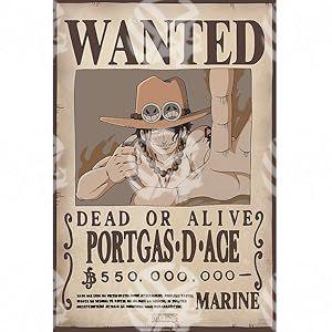 Poster One Piece Luffy e Ace - Warcard